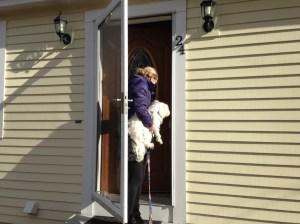 Best friends move into a house! 